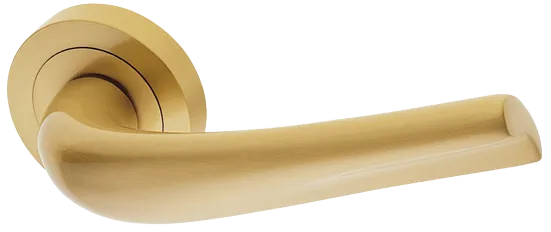 RAFT R2 OSA, ручка дверная, цвет - матовое золото