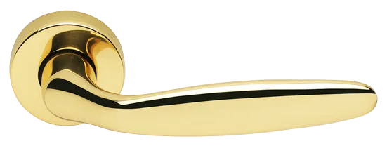 DERBY R3-E OTL, ручка дверная, цвет - золото