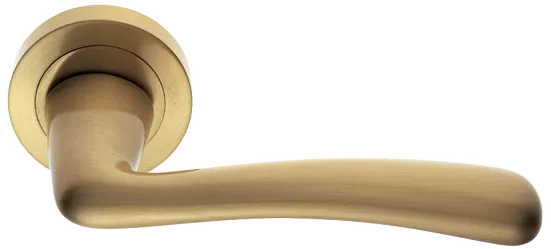 COCKATOO R2 OSA, ручка дверная, цвет - матовое золото