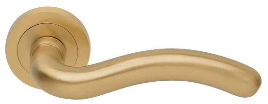SNAKE R2 OSA, ручка дверная, цвет - матовое золото